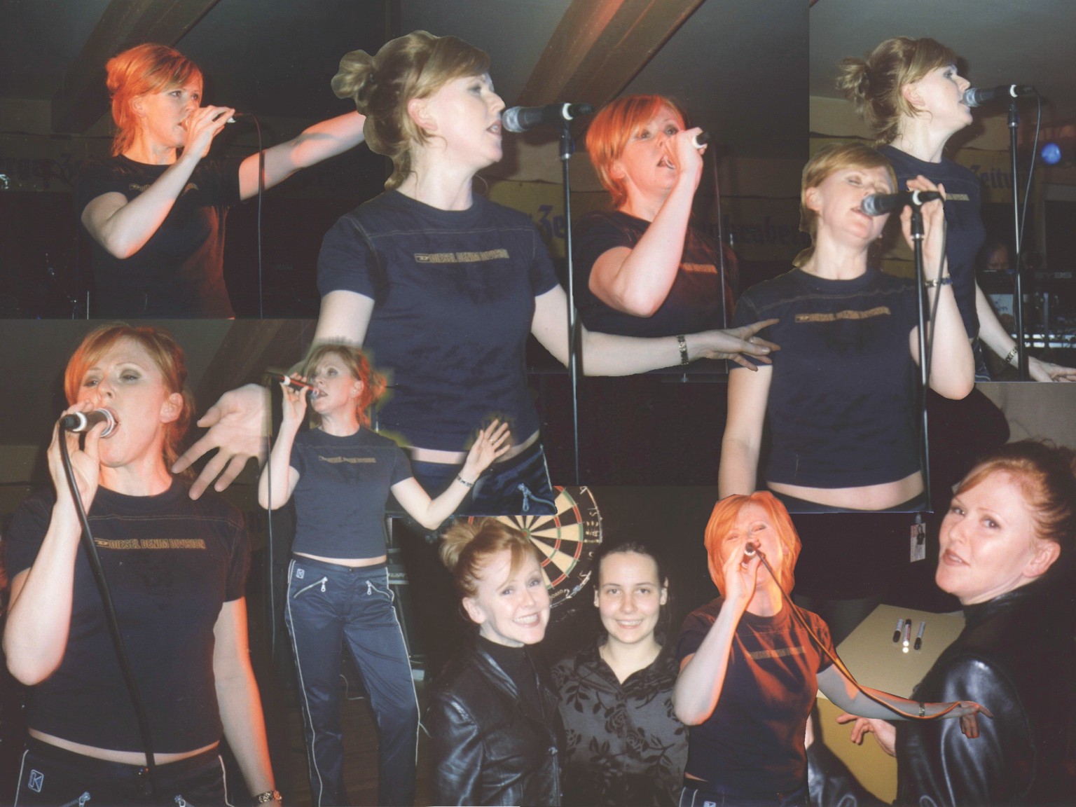 Frankenberg Collage